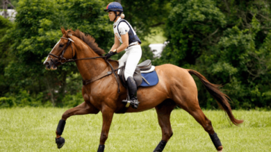 How can I train my horse for cross-country riding?