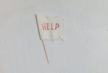business assistance contact number