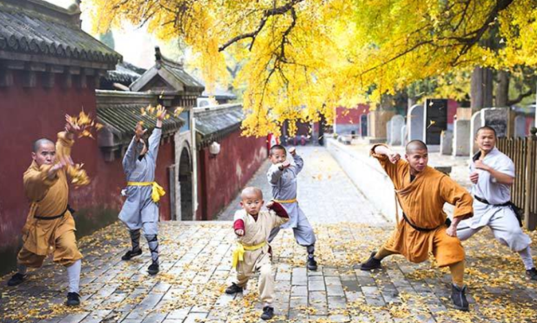 Henan: A Journey Through the Cradle of Chinese Civilization