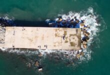 betting platform insights provided