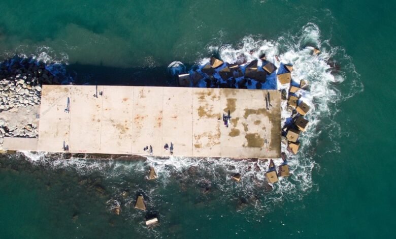 betting platform insights provided