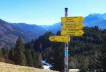 nightshade paralysis overview guide