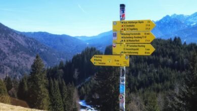 nightshade paralysis overview guide