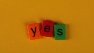 photo licensing agreement essentials