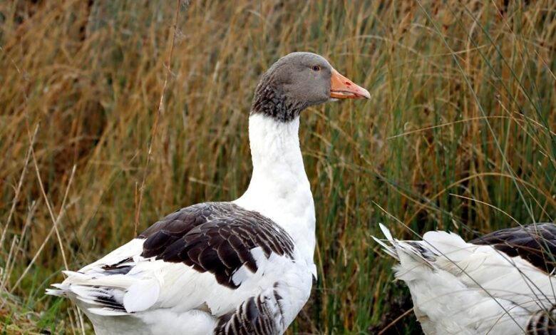 profile updates overview provided