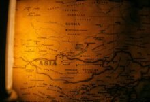 qualia collection services overview