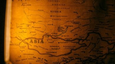 qualia collection services overview