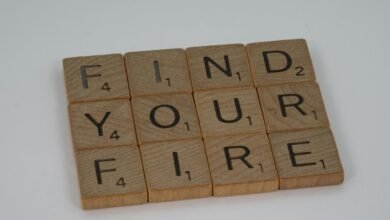 key findings on numbers