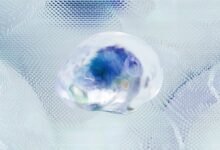 vanguard intelligence data access