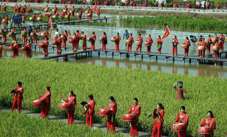 The Fertile Land of Henan: China’s Agricultural and Cultural Heartland