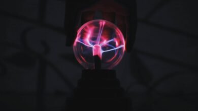 authority system for growth