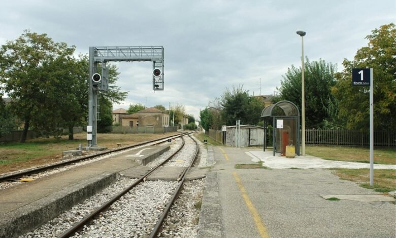 echo signal bridge location