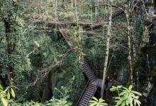 endless opportunity pathway ahead