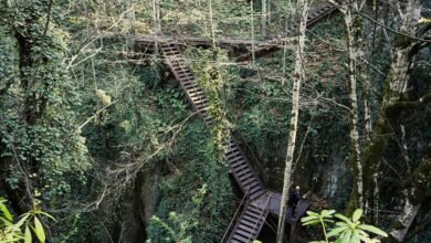 endless opportunity pathway ahead