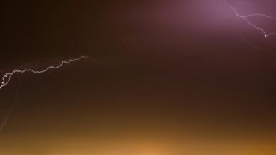 leadership development initiative program