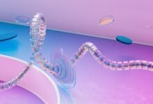 neural spiral apex beam