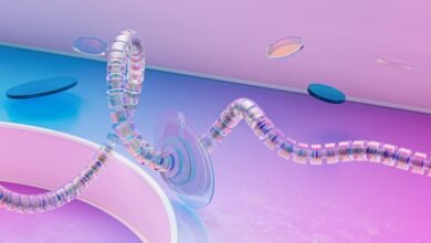 neural spiral apex beam